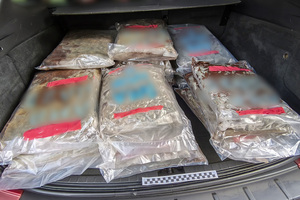 zabezpieczone narkotyki zabezpieczone narkotyki