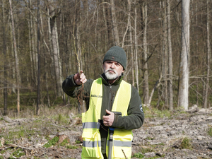 przedstawiciel Lasów Państwowych przedstawiciel Lasów Państwowych