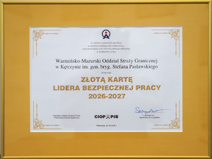złota karta lidera bezpiecznej pracy złota karta lidera bezpiecznej pracy