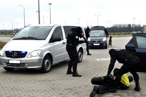 Pokaz dynamiczny 