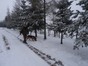 Przewodnik z psem sluzbowym 