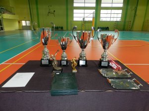 VII Turniej Siatkówki Halowej 