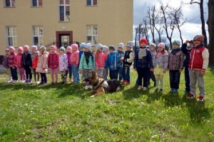 Pokaz i tresura psa słuzbowego 