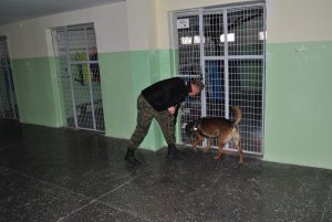 Szkolenie przewodników z podopiecznymi 