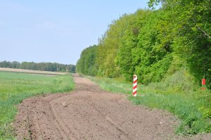 Pas drogi granicznej/border strip Pas drogi granicznej/border strip