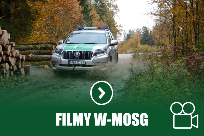 Filmy W-MOSG