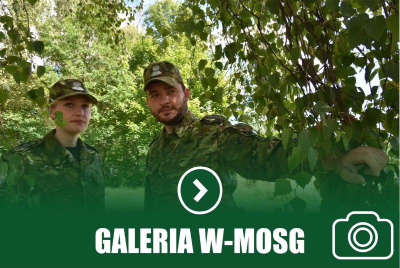 Galeria W-MOSG